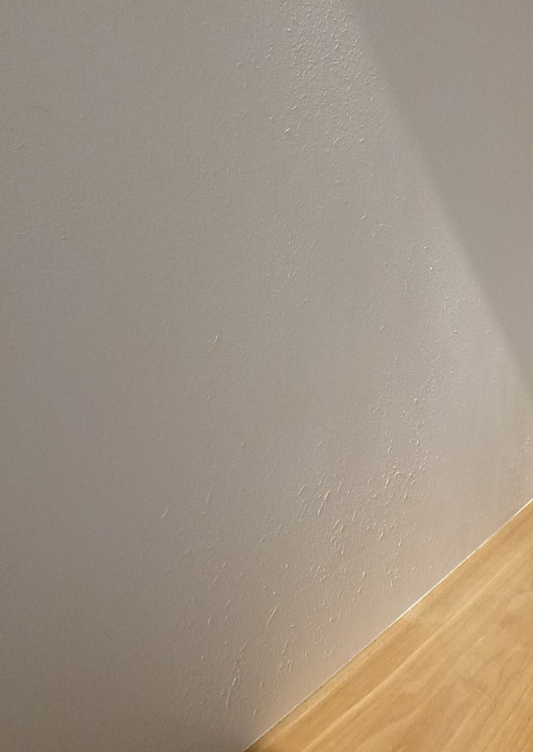 虫除け。_c0228241_2158772.jpg
