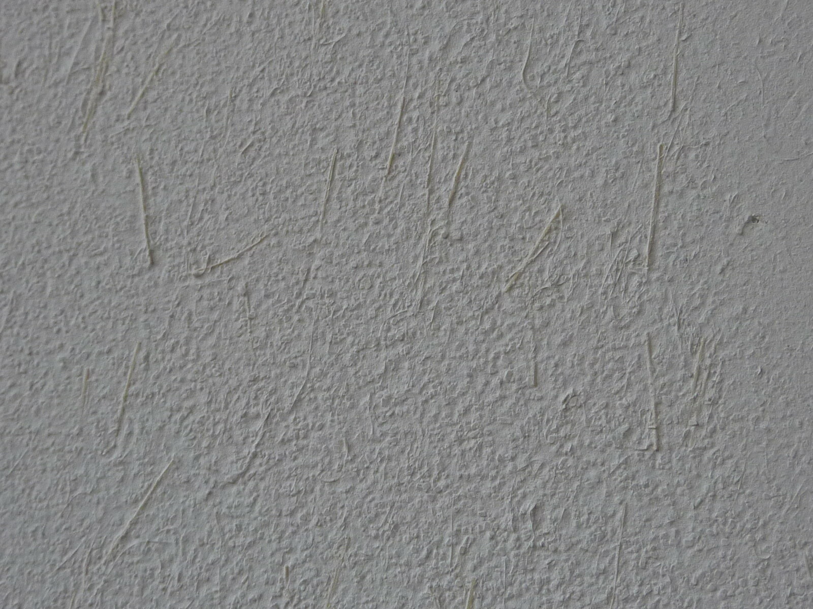 麻苆_c0228241_22131271.jpg