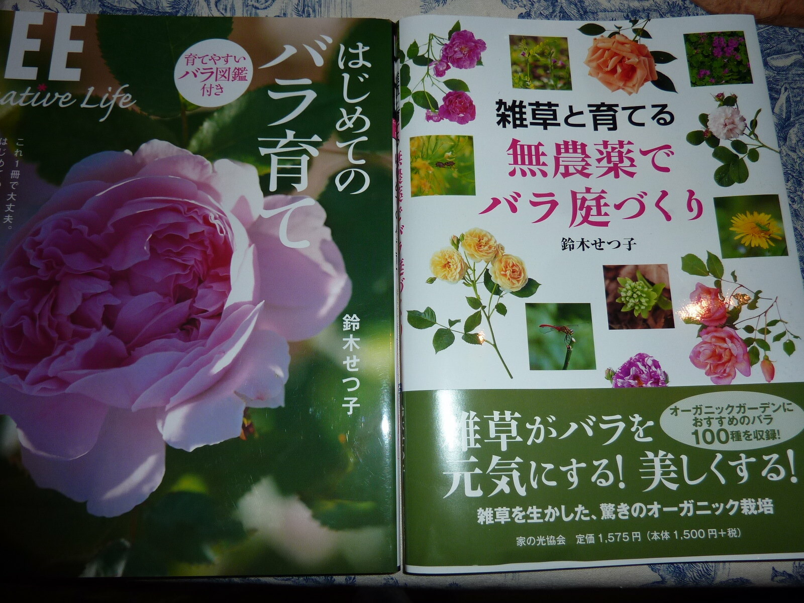 バラ_c0228241_16271785.jpg